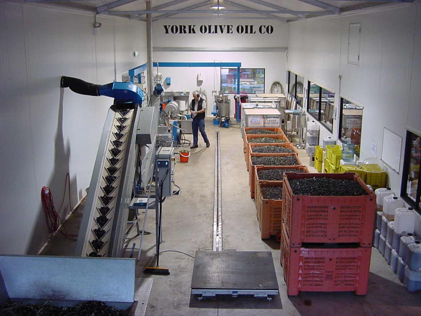 Processing Your Olives York Olive Oil Co.