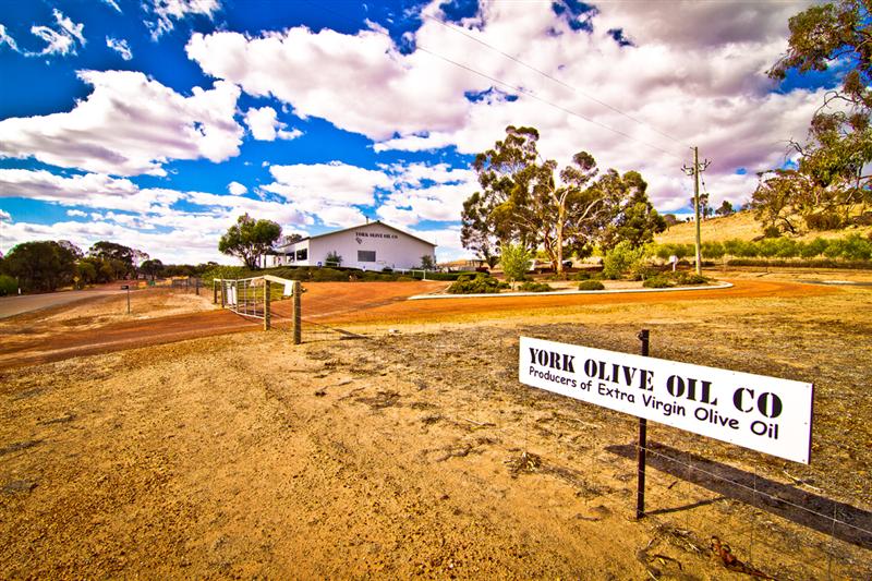 Photo Gallery York Olive Oil Co.